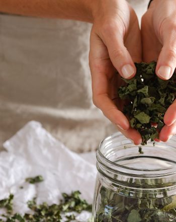 Ο σωστός τρόπος φύλαξης των βοτάνων: γιατί η αποθήκευση καθορίζει την ποιότητά τους