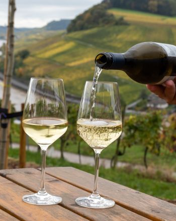 Riesling: Όσα αξίζει να γνωρίζεις για την ποικιλία κρασιού της Γερμανίας