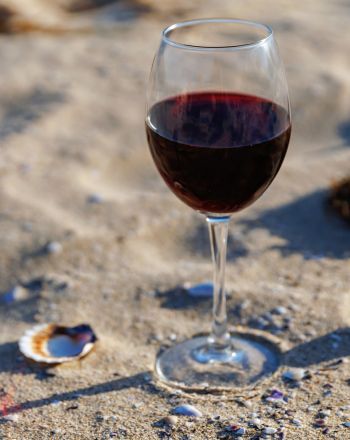 Pageo Wines Tasting 2026: Τα κρασιά του Παγγαίου συναντούν τη θάλασσα