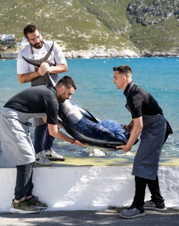 ViΩma: Ένα βιβλίο για τη θάλασσα, το χρόνο και τη μεταμόρφωση, του Μιχάλη Μάρθα 