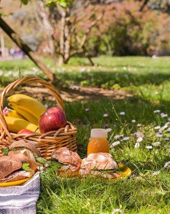 Πρωτομαγιάτικο πικ νικ: μια μικρή απόδραση που δεν χρειάζεται μεγάλη προσπάθεια