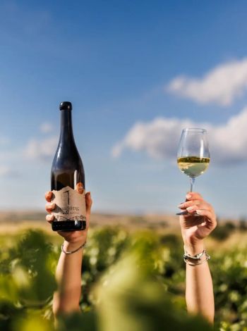 Artisanal Greek Wine Trail: Τα οινοποιεία που ανοίγουν τις πόρτες τους στις 7 και 8 Νοεμβρίου