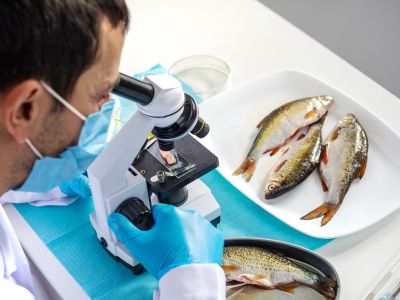 Ποια ψάρια να καταναλώνεις με μέτρο - Τι δείχνουν τα στοιχεία για τον υδράργυρο σύμφωνα με νέα μελέτη