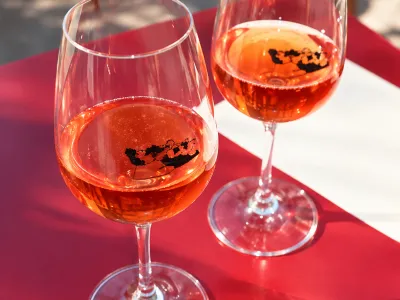 Vin d’Alsace: Το νέο wine bar 13 τ.μ. στο Παγκράτι που μας ταξιδεύει στην Αλσατία