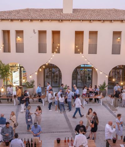 Messinia Terroirs Wine Festival 2026: Η Μεσσηνία αποκαλύπτει τον αμπελώνα και τις γεύσεις της