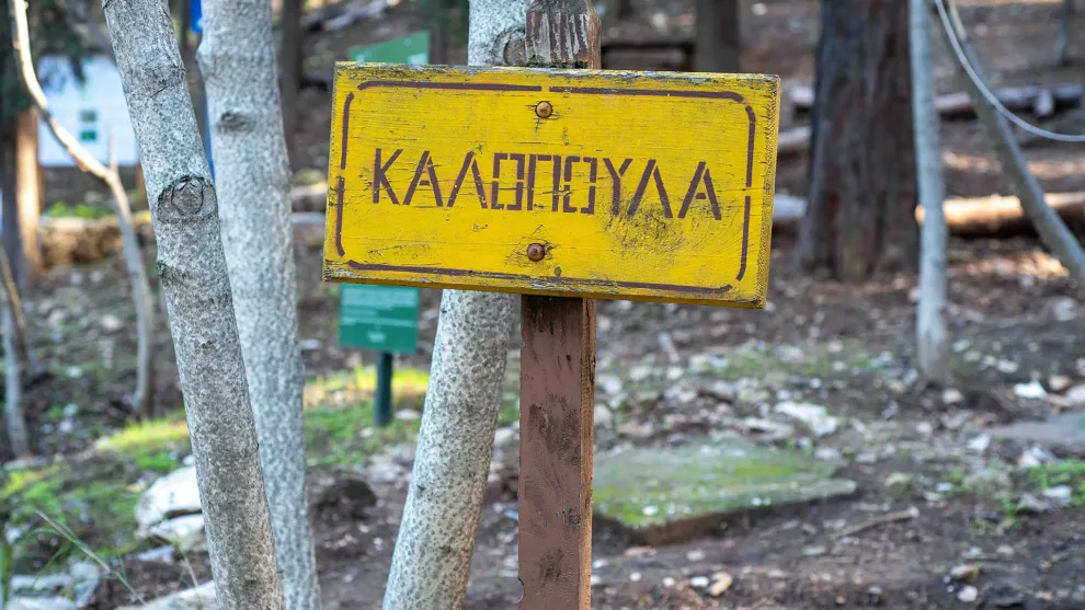 Η Καλοπούλα στον Υμηττό