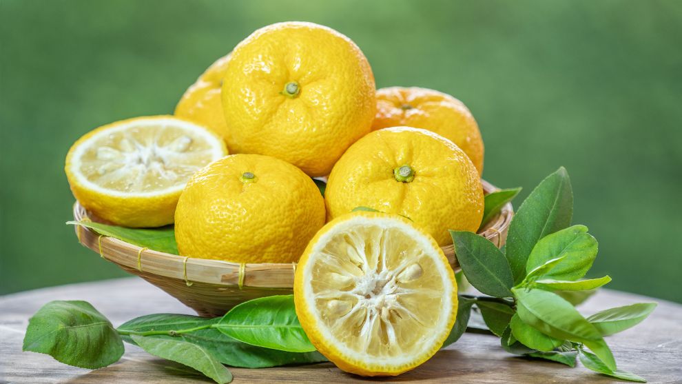 Ασιατικά υλικά, Yuzu