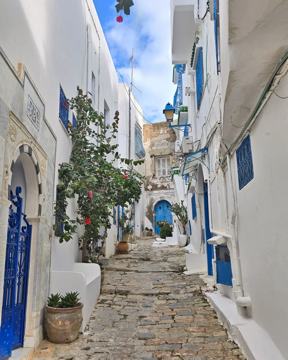 Τυνησία ταξίδι