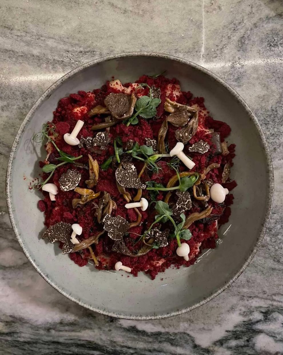 SUMA salata