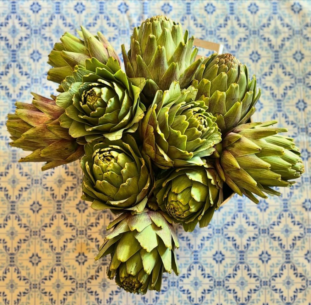 Αγκινάρες Αγκινάρες