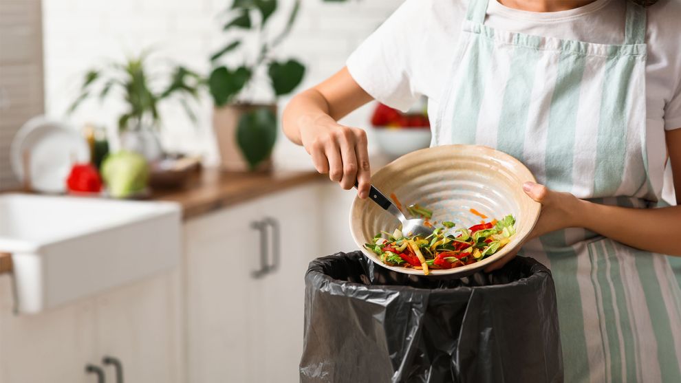 Food Waste