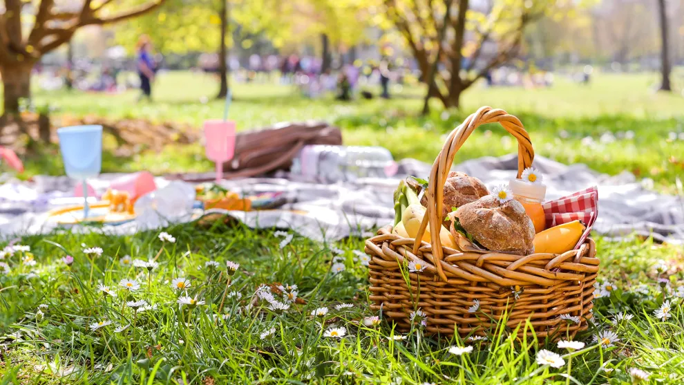 pic nic