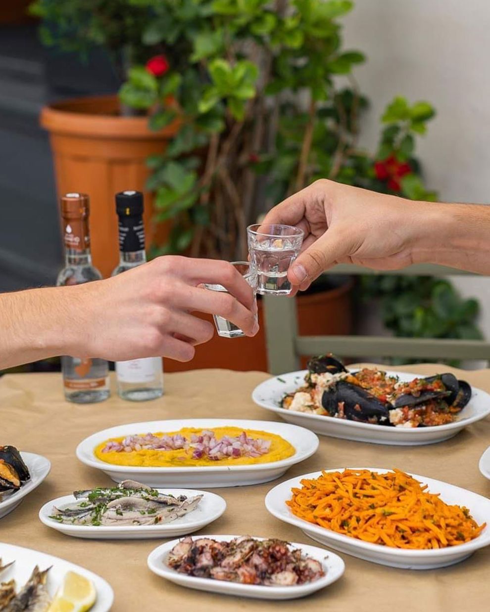 Γάκιας, Νέα Ερυθραία