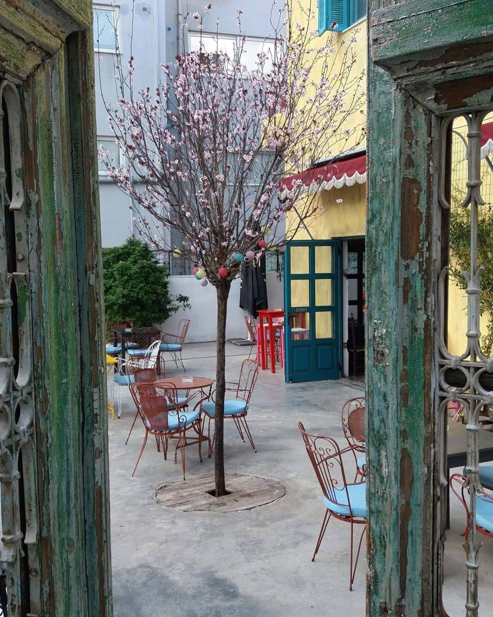 Μαντανία Δάφνη