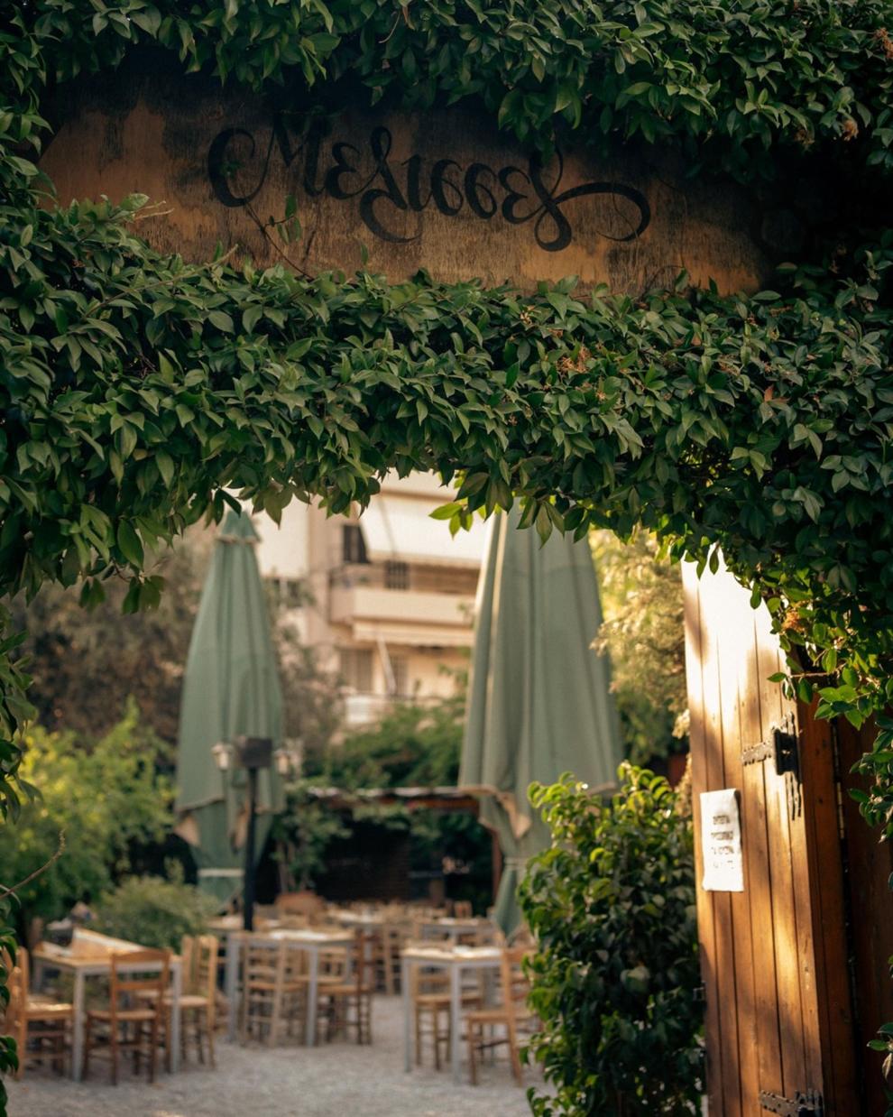 Μέλισσες