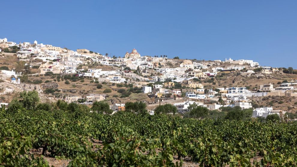 Κρασί