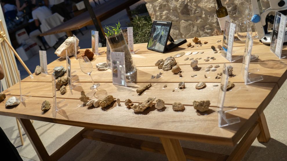 Messinia Terroirs Wine Festival