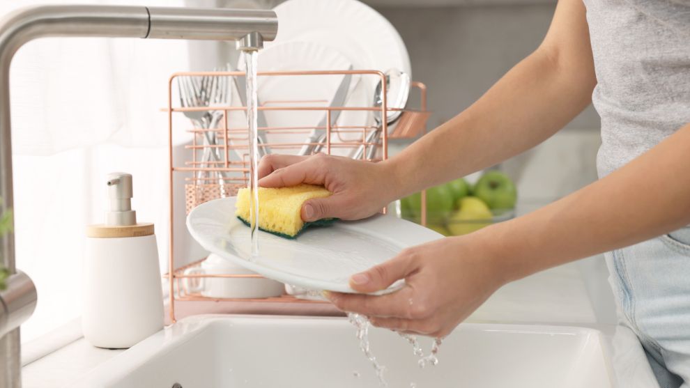 Σφουγγάρι πιάτων