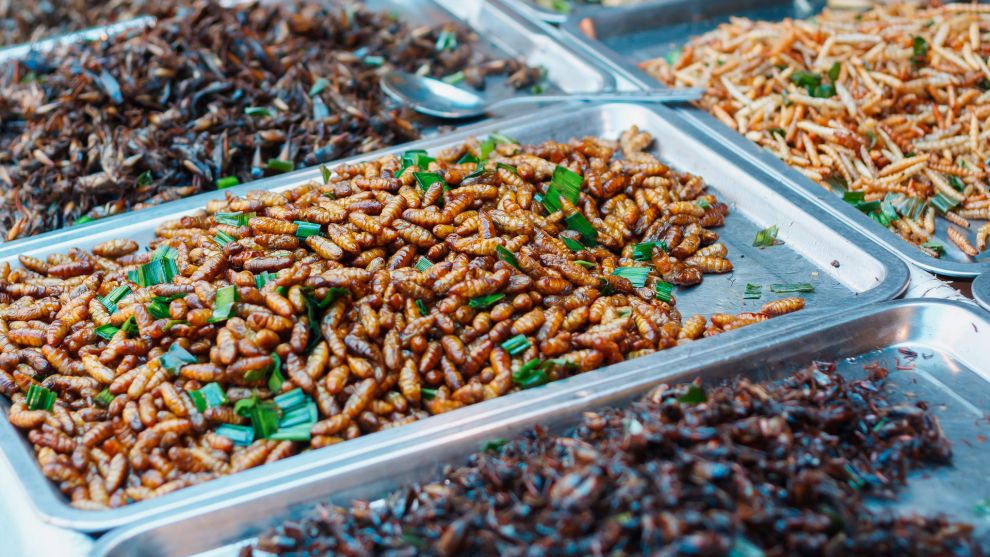 Έντομα για φαγητό