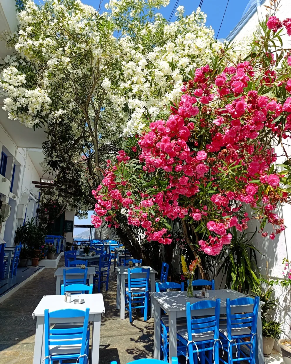 Λιμάνι της Κατίνας