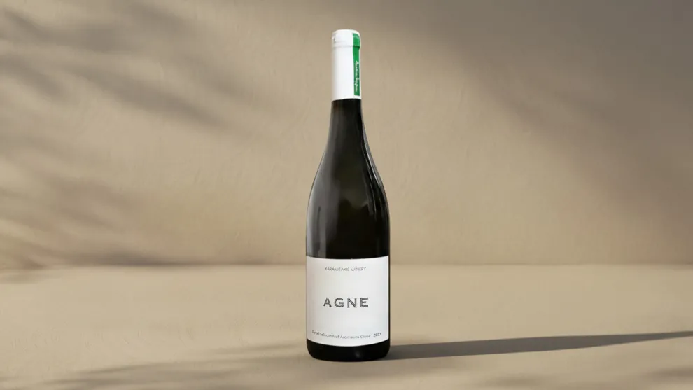 Agne 2024