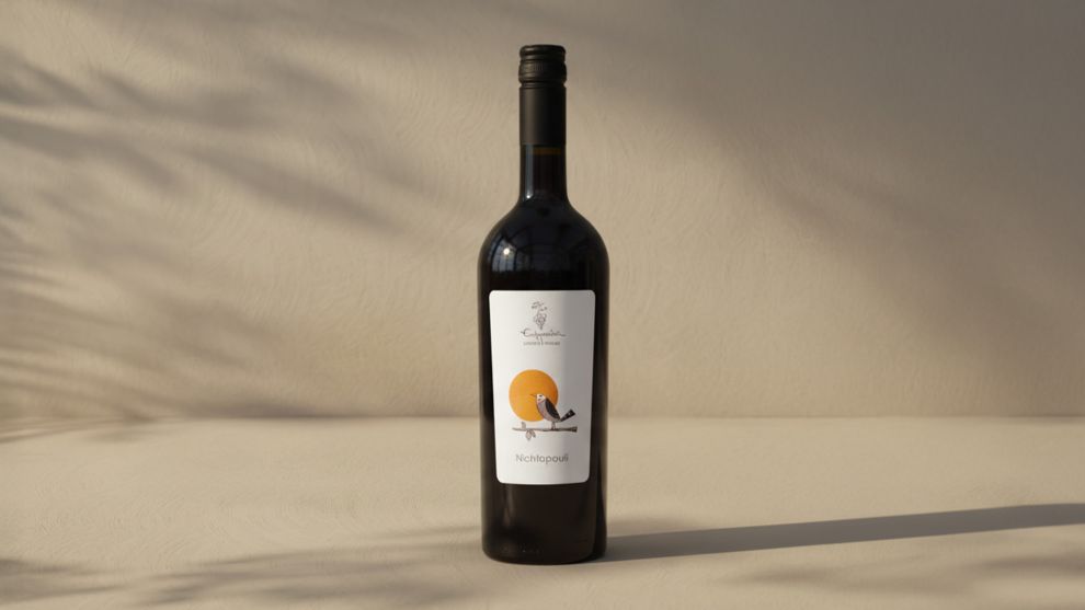 Νυχτοπούλι