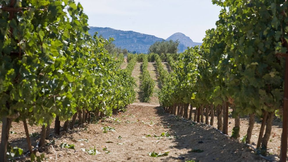 Παρασκευόπουλος 