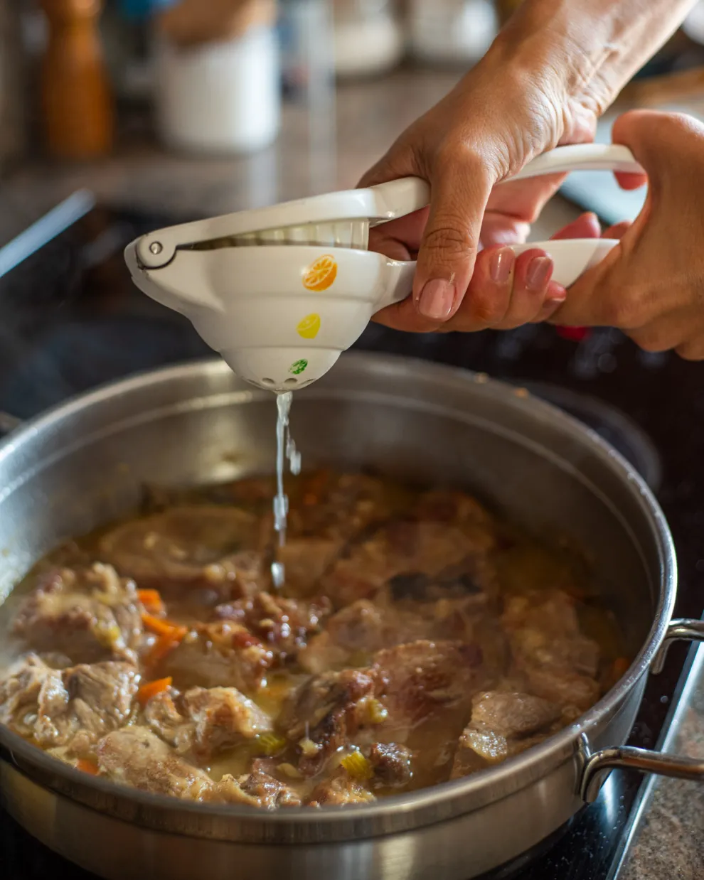 pork stew