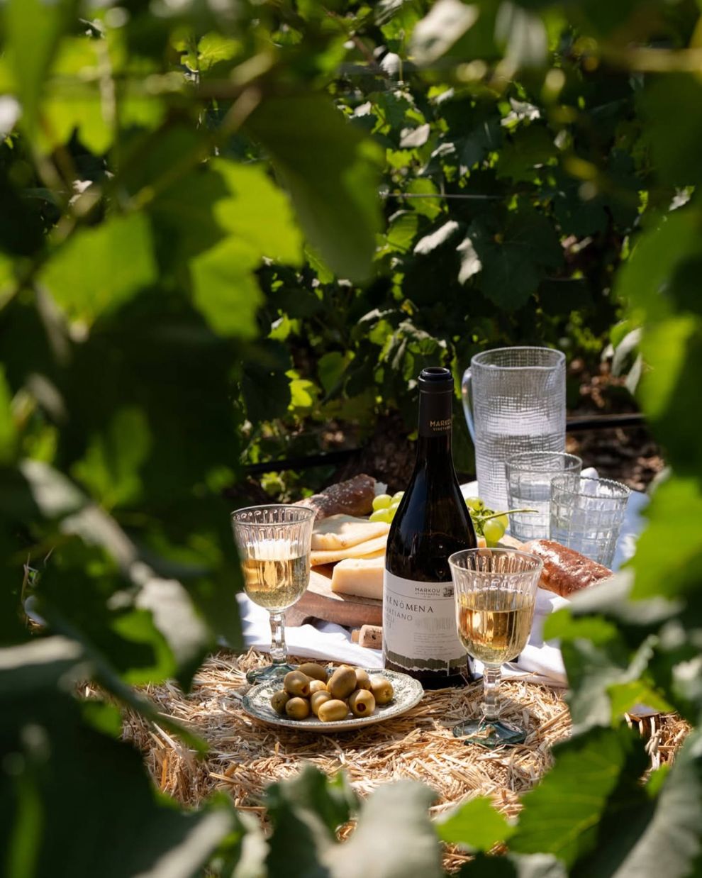 Μουσείο Οίνου