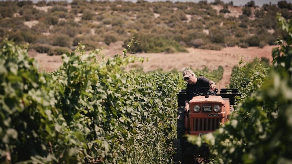 Κτήμα Παπαγιαννάκος