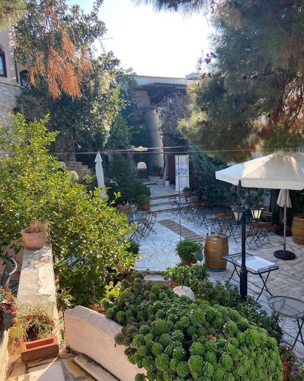 Οινοποιείο Νικολού