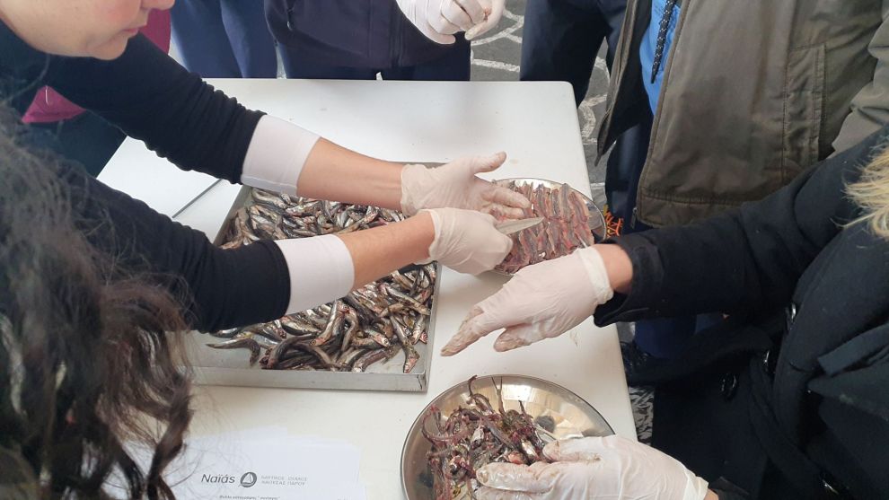 Τα Παστά της Πάρου