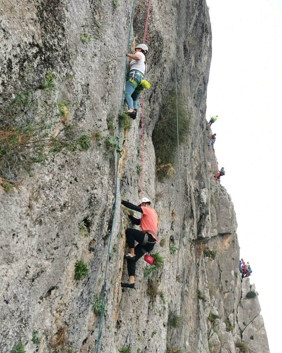Ορειβατικός σύλλογος Χαλκίδα