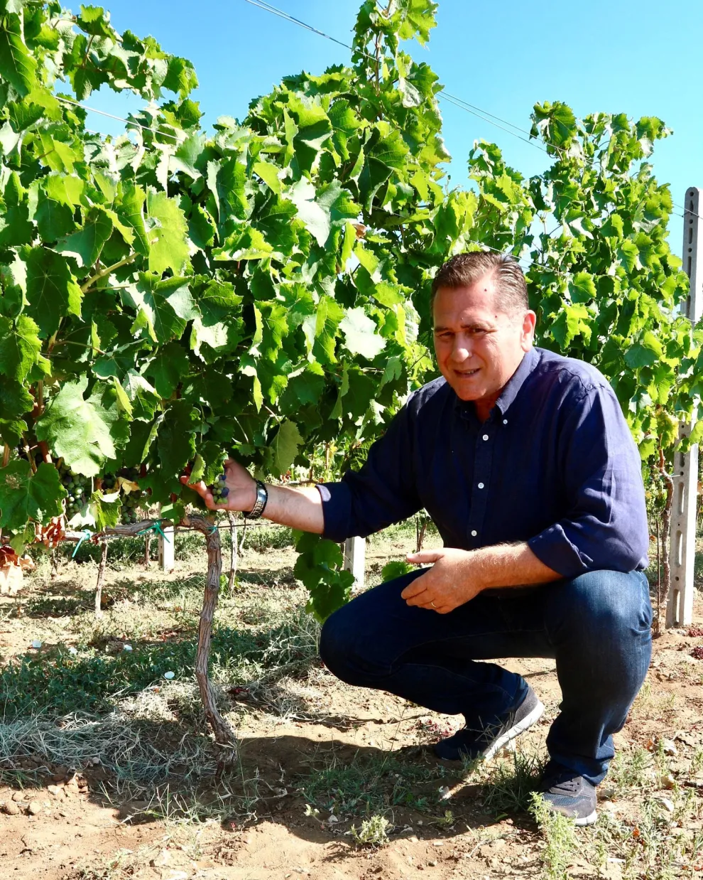 Άγγελος Ιατρίδης 