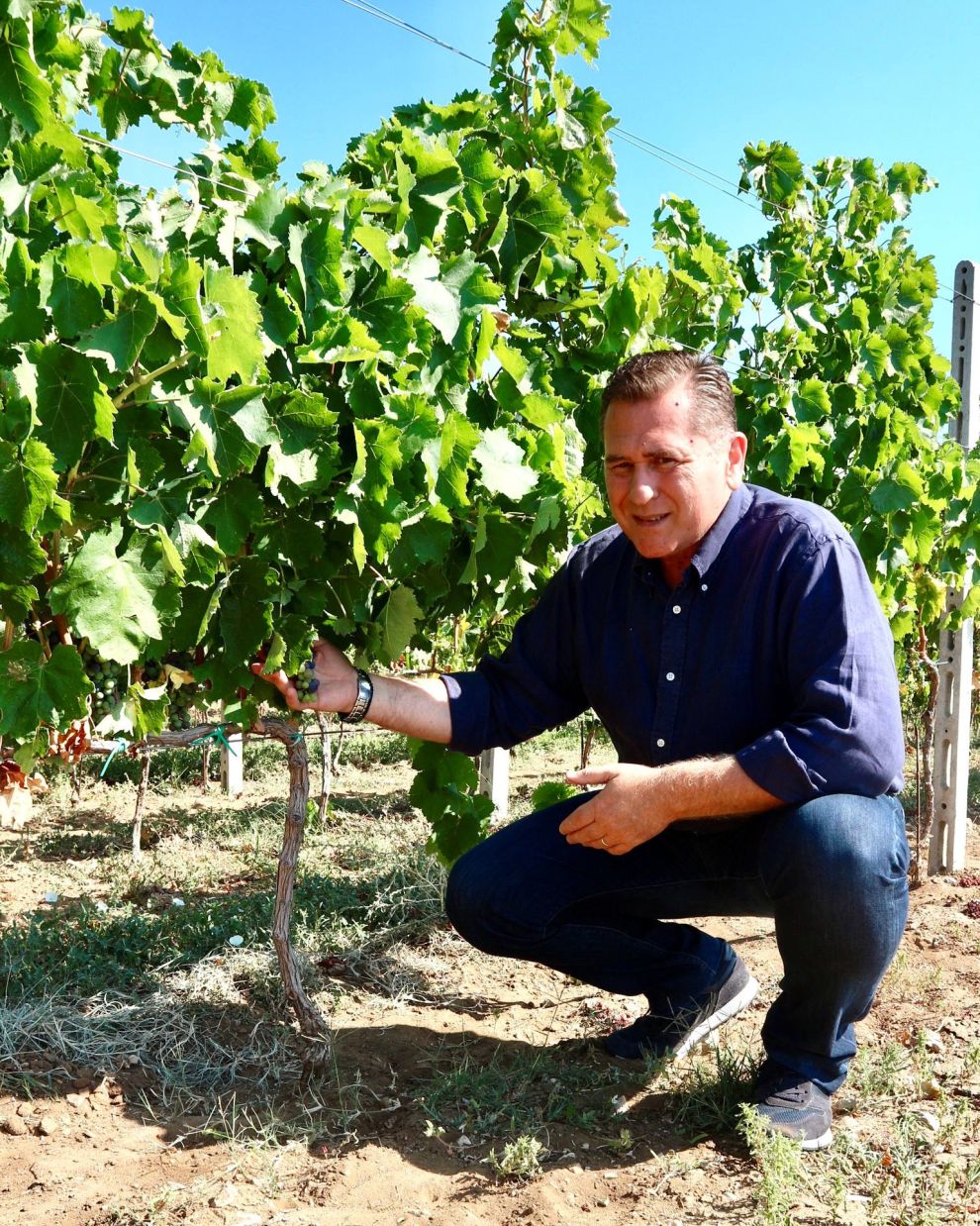 Άγγελος Ιατρίδης 