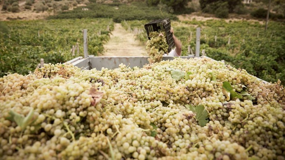 Παπαγιαννάκος