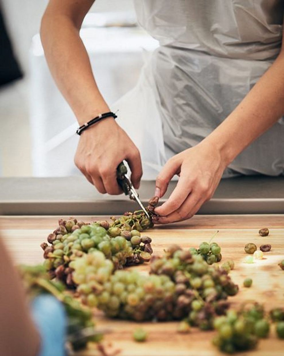 Παπαγιαννάκος