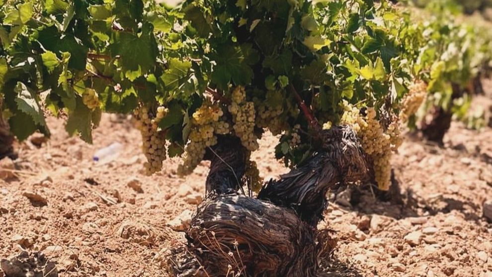 Παπαγιαννάκος