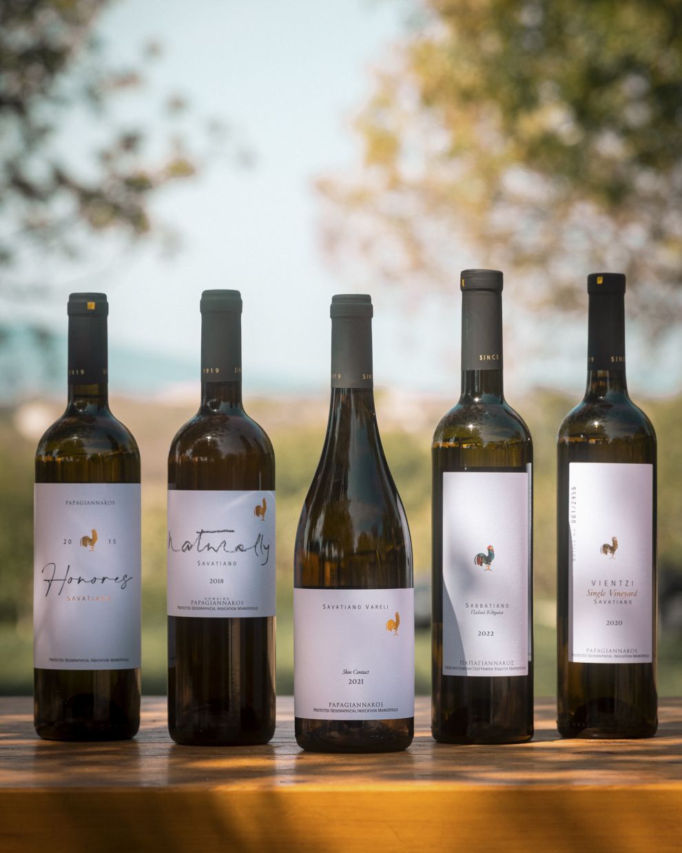 Παπαγιαννάκος