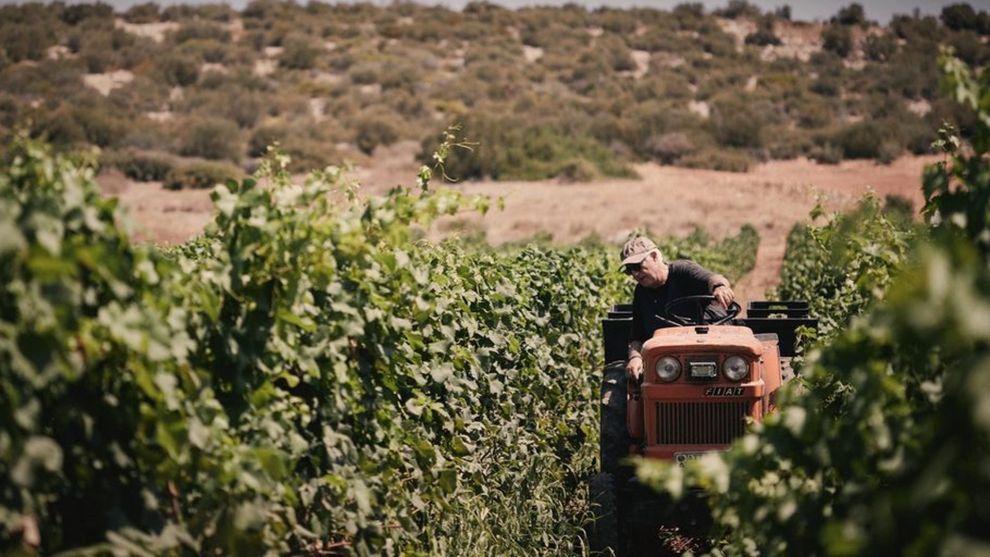 Παπαγιαννάκος