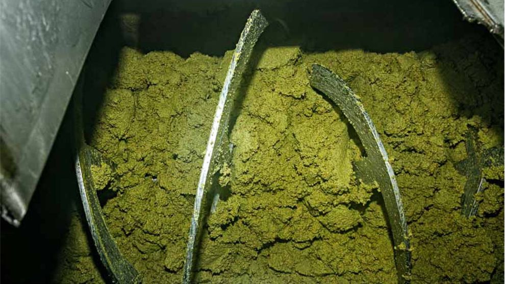 Παραγωγή ελαιολάδου