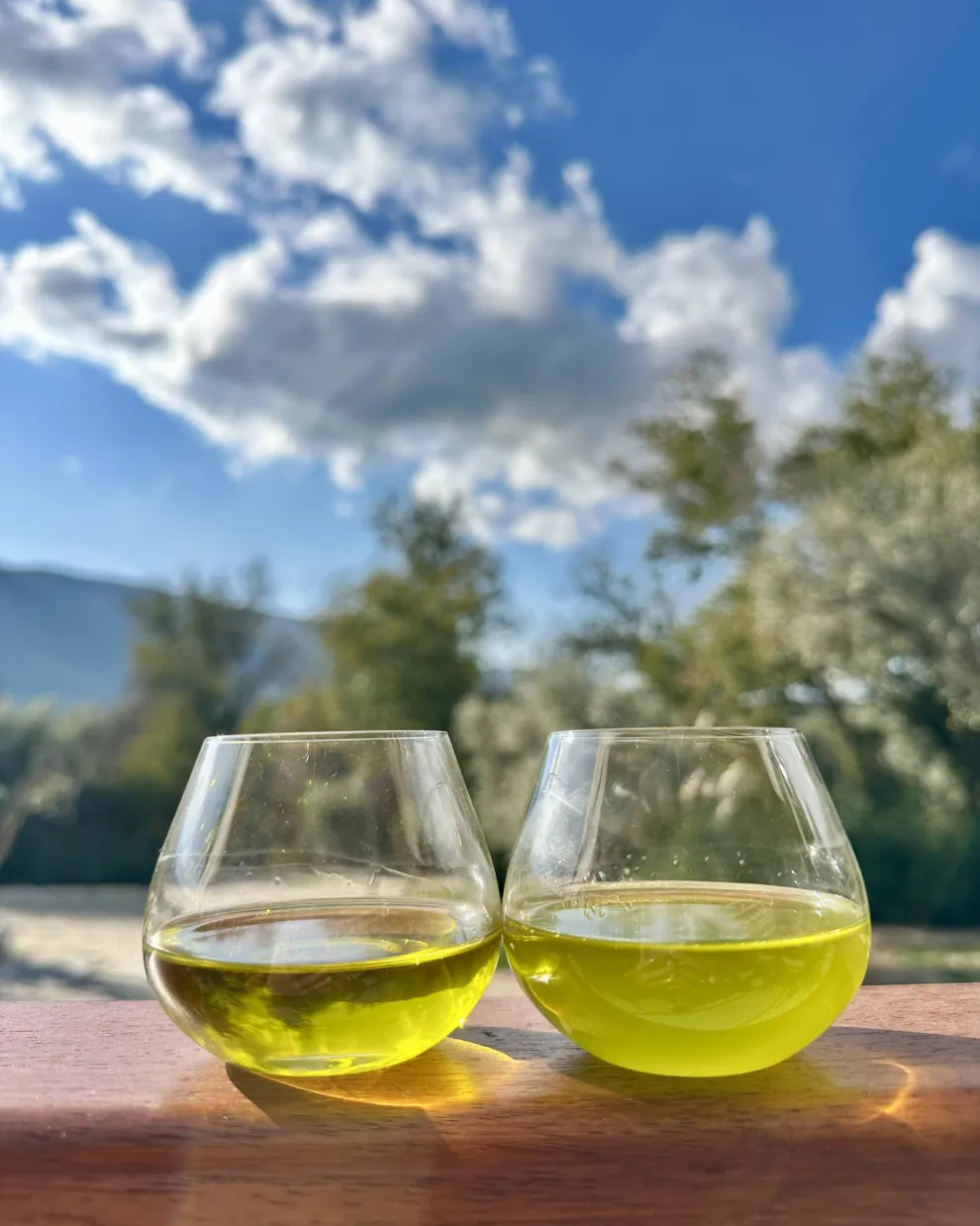 Παραγωγή ελαιολάδου