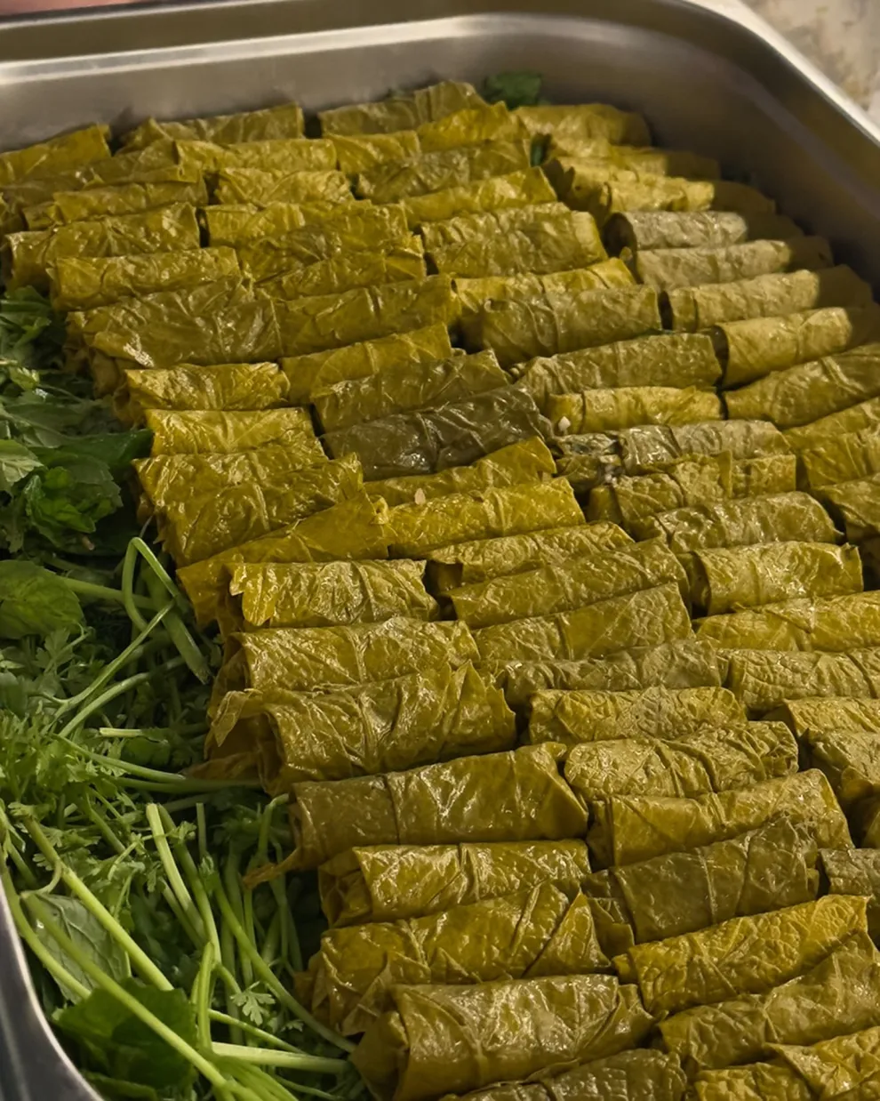 Πλυτά