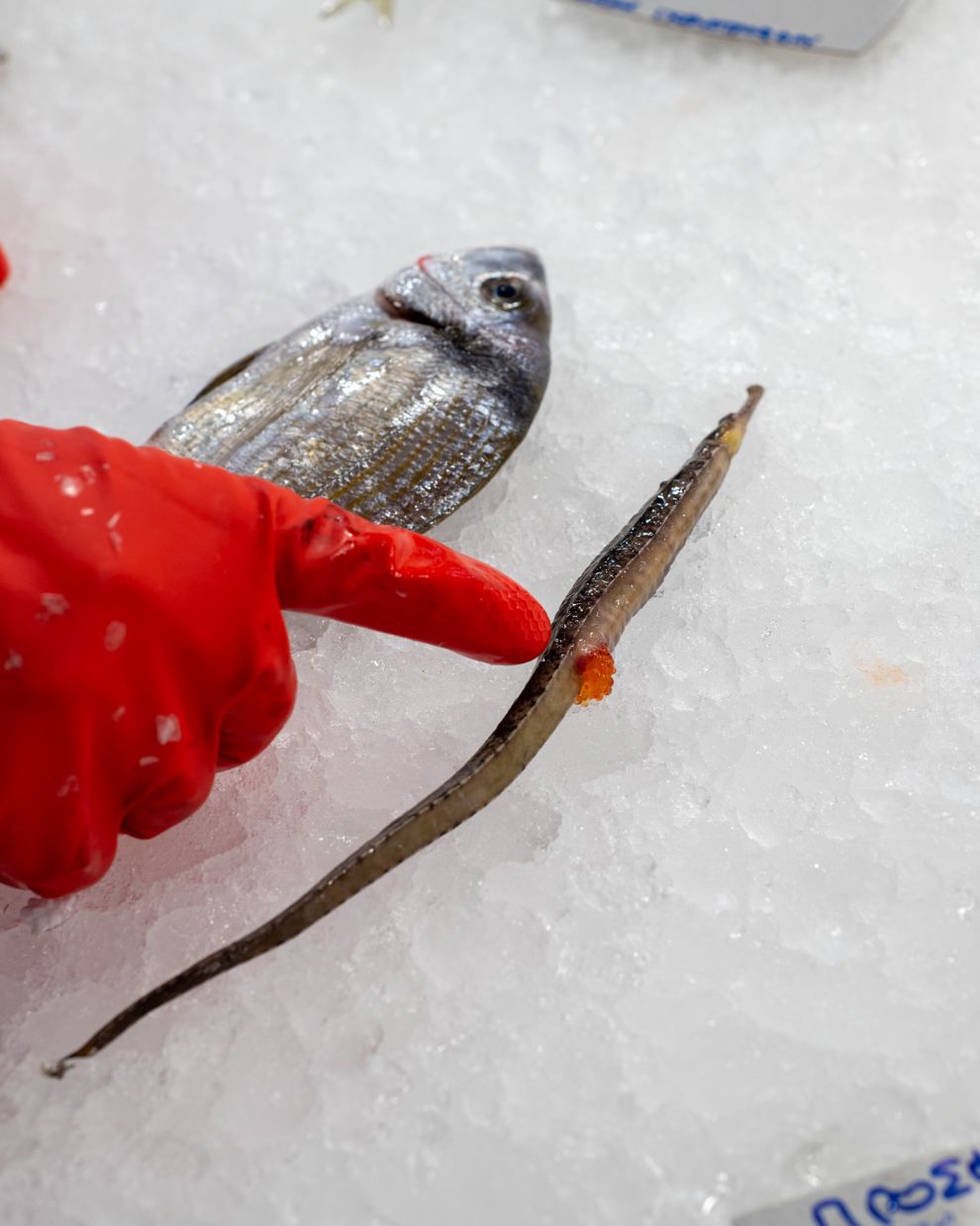 Σκεπαστή Αγορά Καλλιθέας