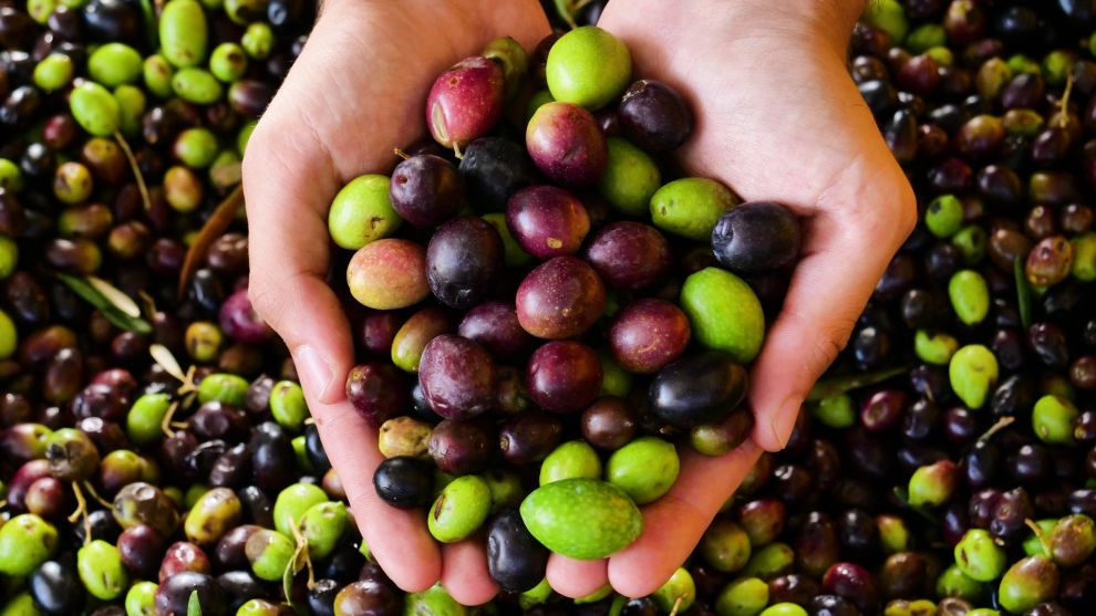 Ελαιόλαδο στο σπίτι