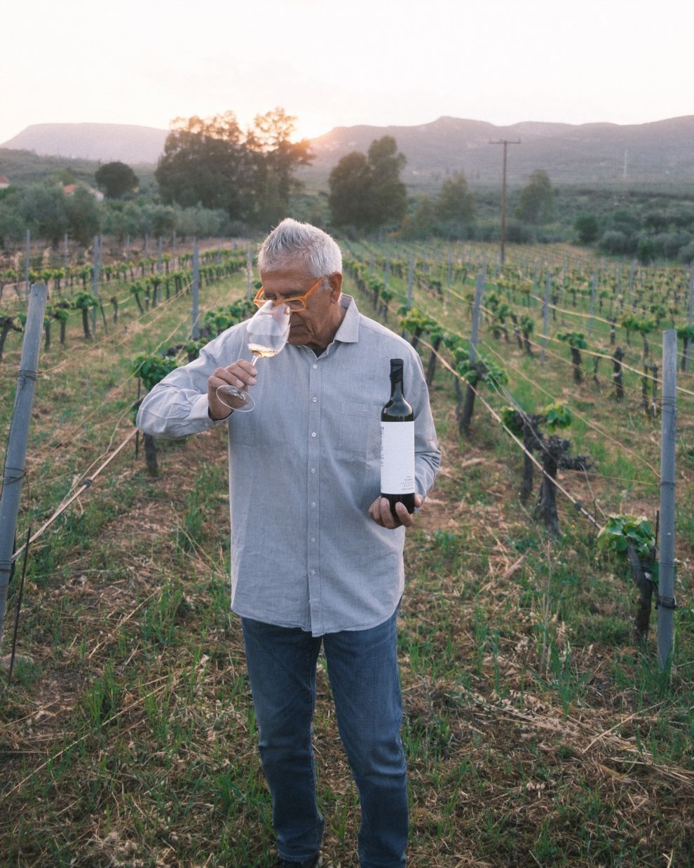 Οινοποιία Τσιμπίδη