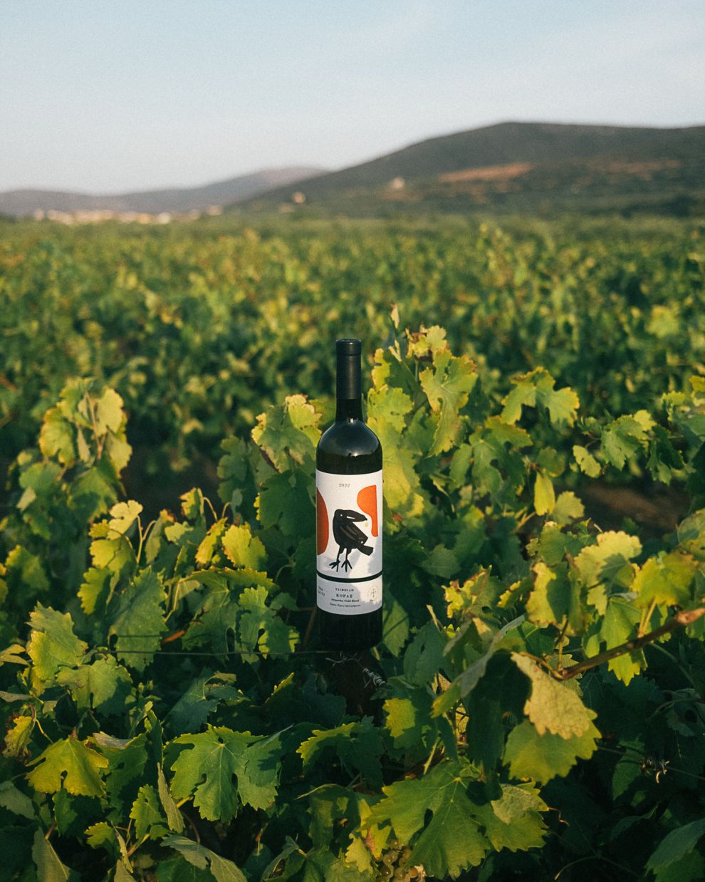 Οινοποιία Τσιμπίδη