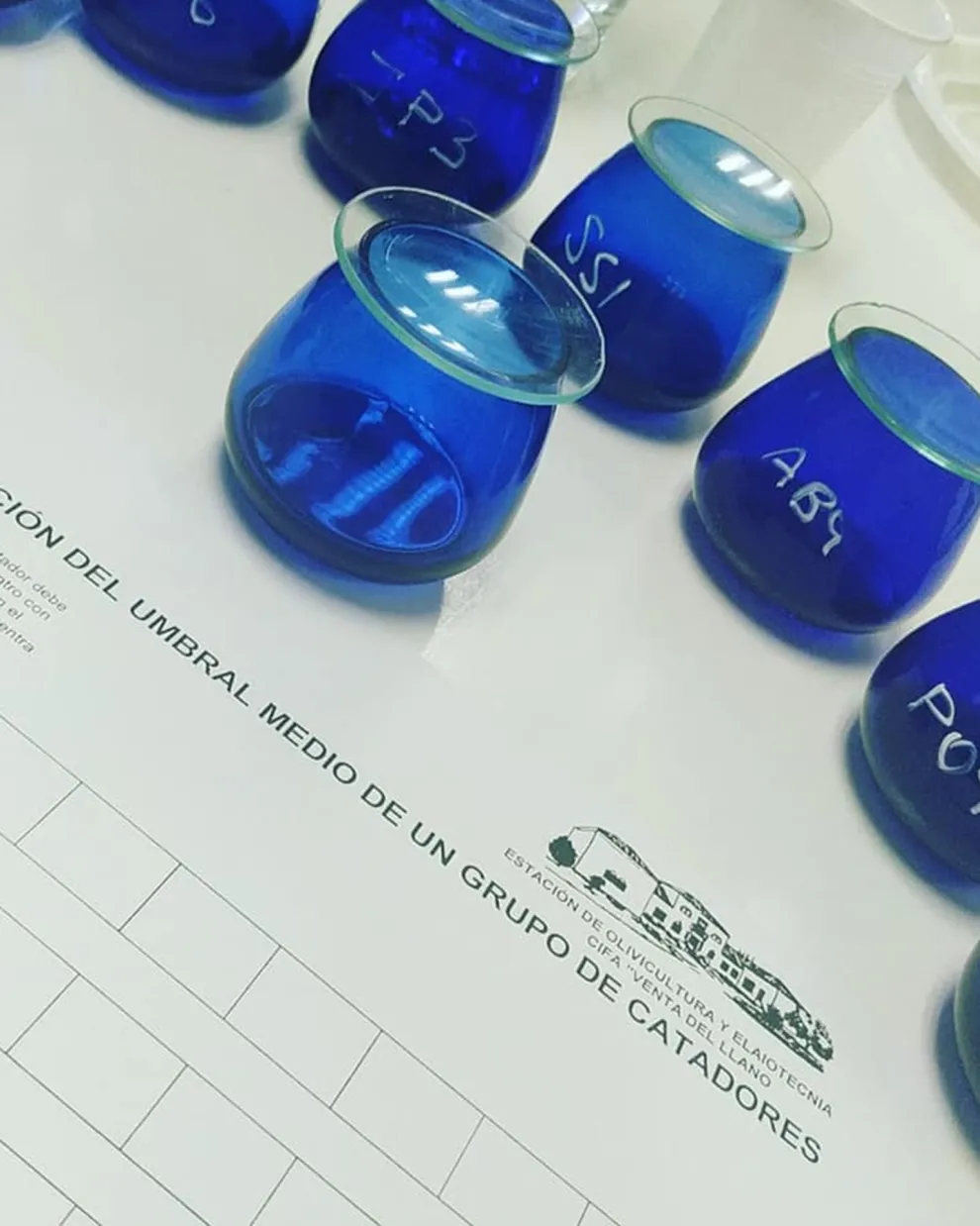 Δοκιμαστής ελαιολάδου