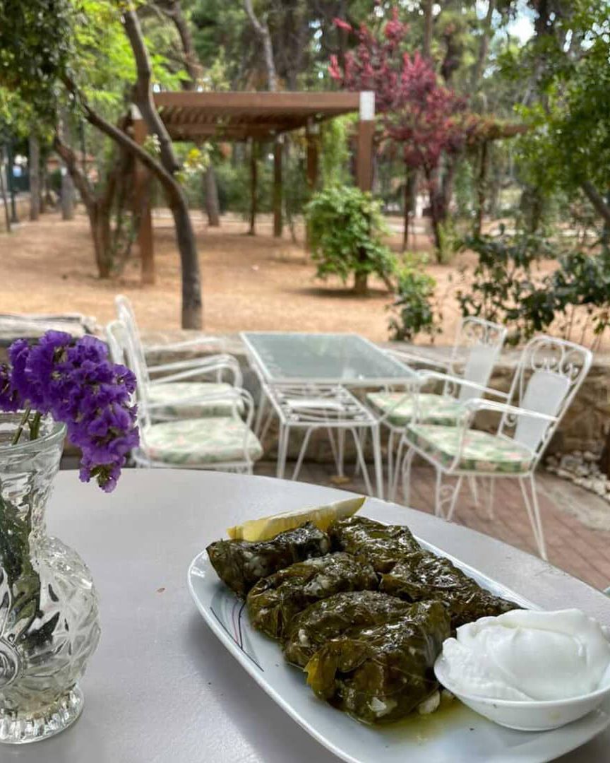 Άλσος Ζωγράφου