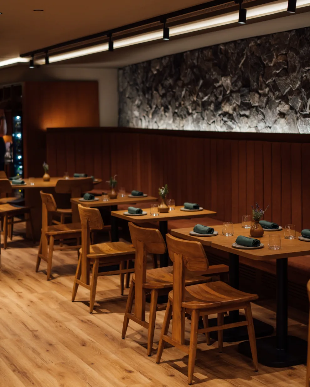 Amphibian